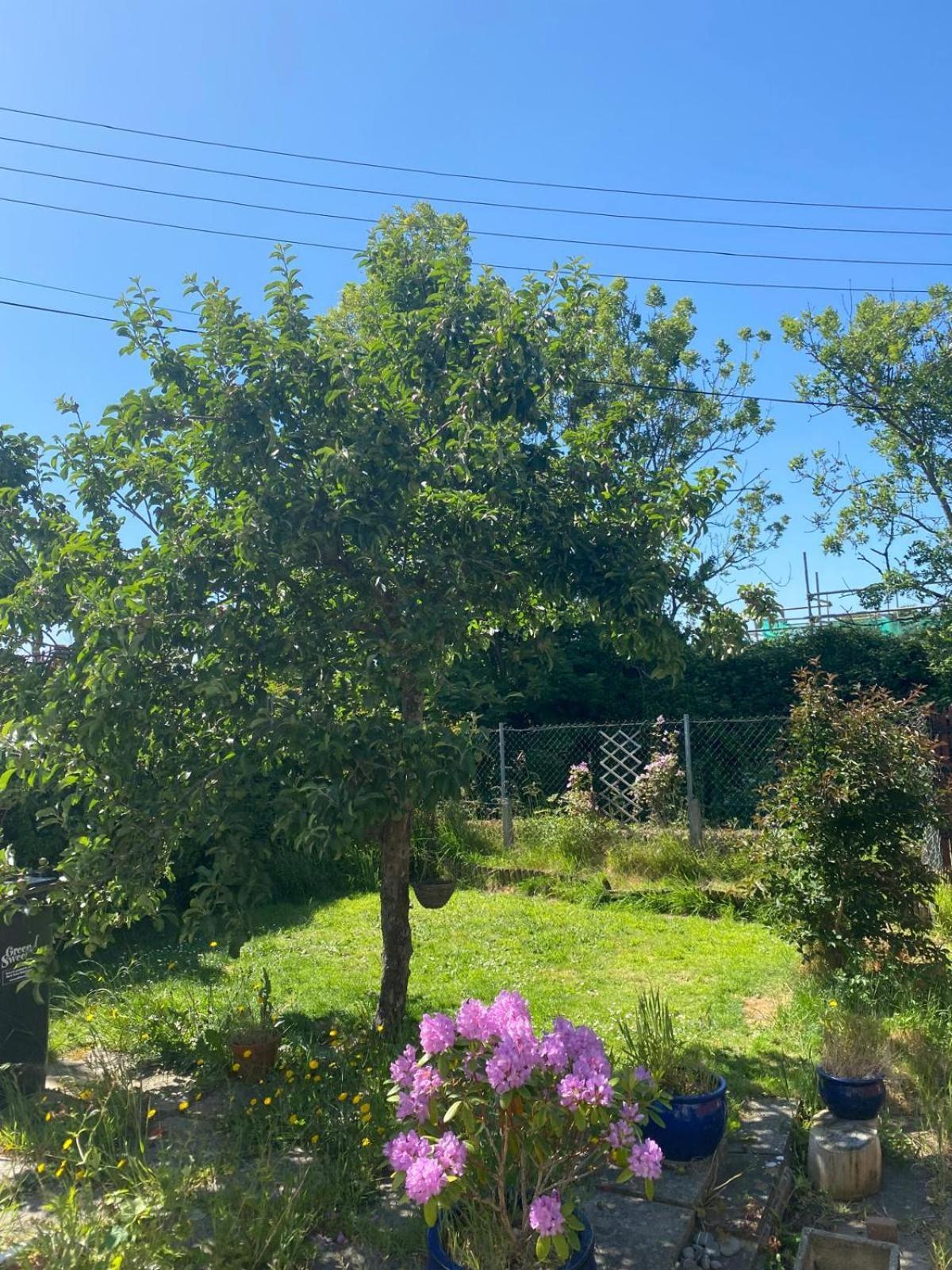 Holiday home Manor Close *